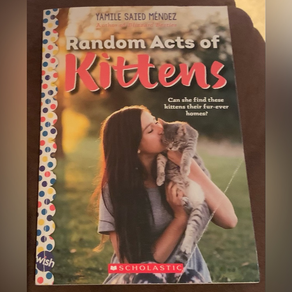 Random Acts of Kittens: A Wish Novel Paperback Book